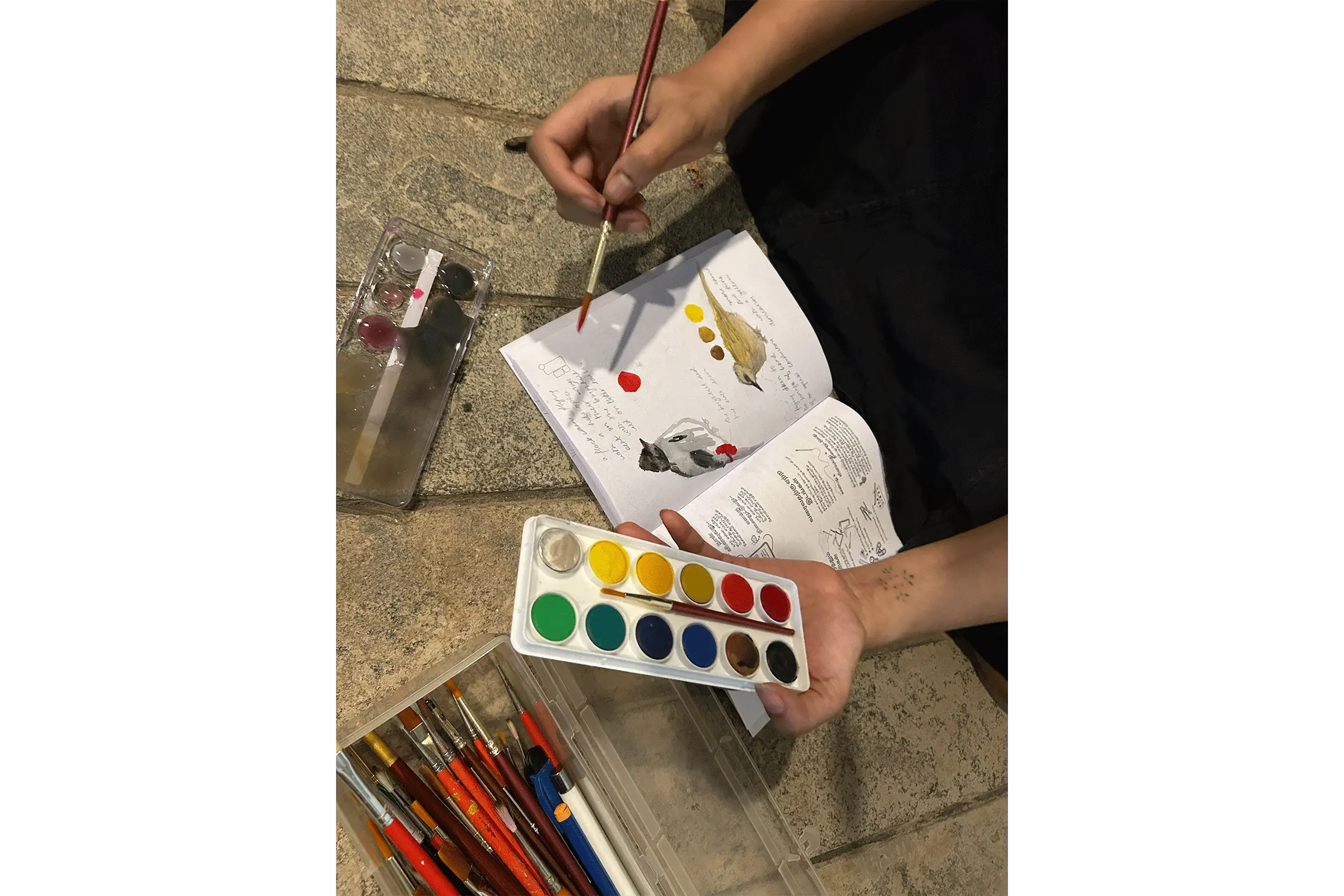 Nature Journaling workshop